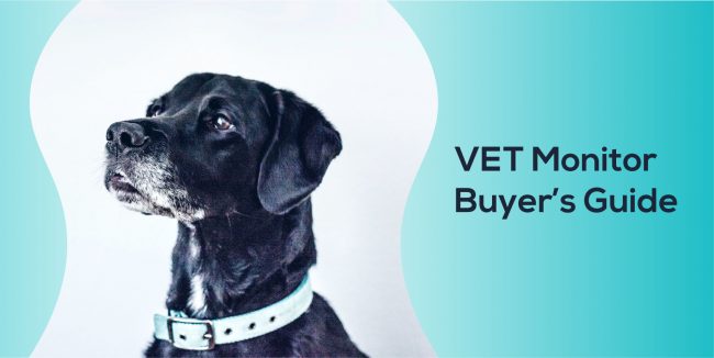 VET_monitor_cover_photo Veterinary Monitor Buyer's Guide