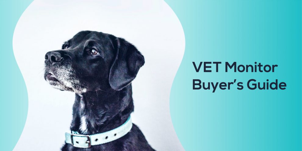 Veterinary Monitor Buyer's Guide
